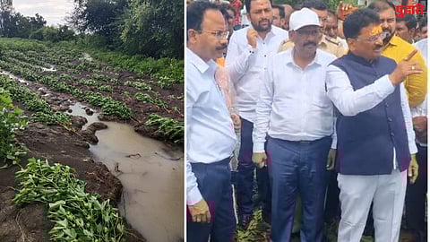 Purna Vazur Tadkals crop damage