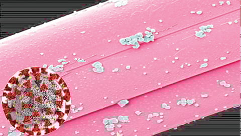 sugar-coated-nanoparticle-fights-covid