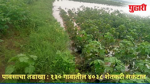 Chandrapur Heavy Rain Damage