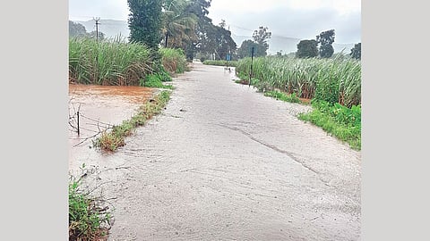 Talere Kolhapur Highway Closed