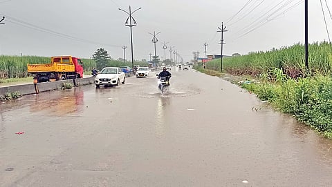 Kolhapur flood news