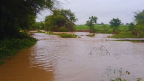 Dharashiv Heavy Rain