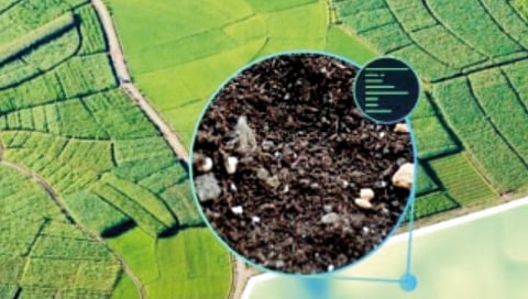 sugarcane-farms-carbon-storage-capacity-in-district