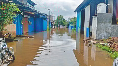 Sangli flood