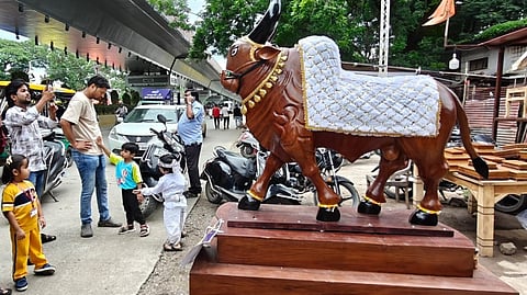 Nagpur 200-year-old Pola festival