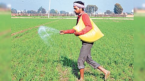 Urea shortage News : ऐन हंगामात युरीयाची टंचाई