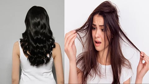 powerful diet to stop hair fall in 90 days