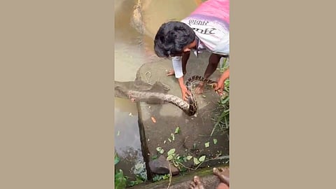 Snake trapped in fishing net