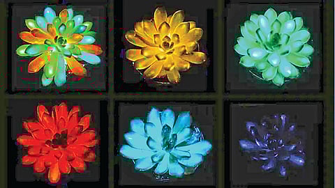 china-develops-rainbow-plants-glow-in-dark