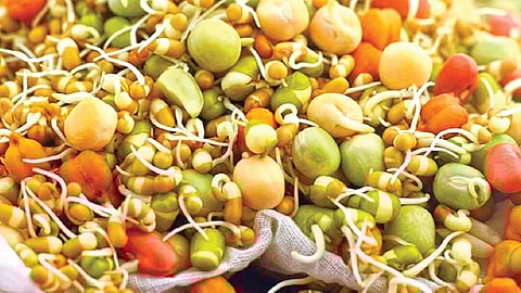 sprouted pulses superfood for health