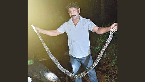 Snake Saved Nhaveli