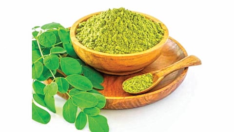 Drumstick Health benefits