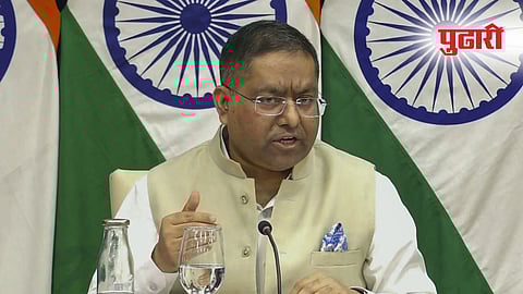 Donald Trum- Peter Navarro's