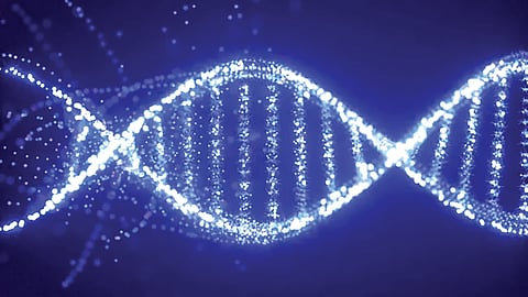 lost human gene may protect against arthritis