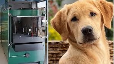 Pet crematorium Thane