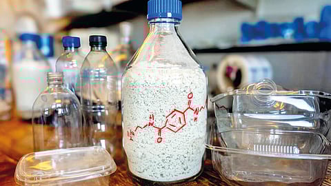 Scientists New Discovery