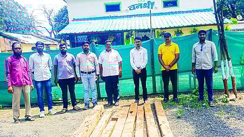 Illegal Teak Wood Stock