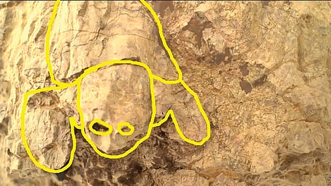 moss-like-rock-spotted-on-mars-ap84