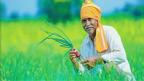 Natural Farming Campaign