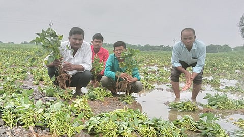 Pangra village flood damage