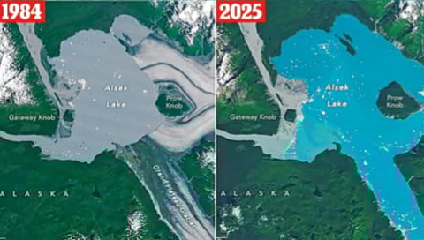 signs of life in solar system discovered