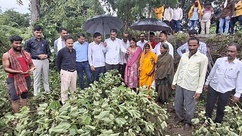 Gangakhed houses damaged rain