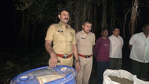 Shirpur Rupsingpada cannabis seized