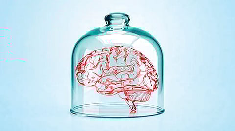 Brain microscopic tissue