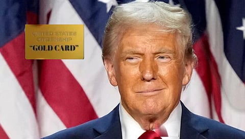 Trump gold card scheme