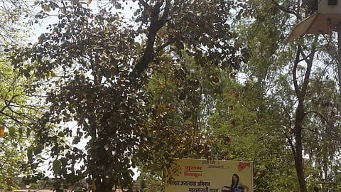 Sakoli Sabhapati Abuse