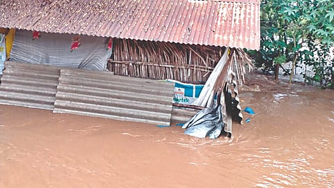 निफाड : तालुक्यातील ग्रामीण भागात शेतांमध्ये तुंबलेले पाणी.