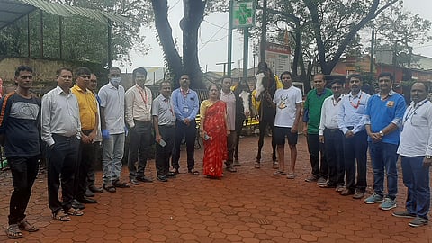 Eye infection in horses