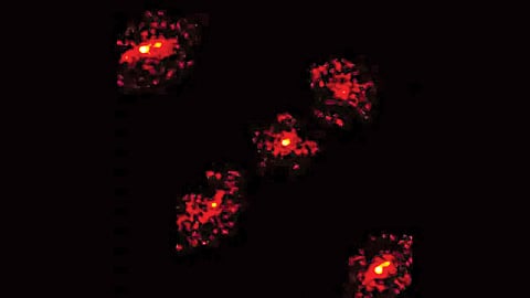 discovery-of-massive-dark-matter-clump