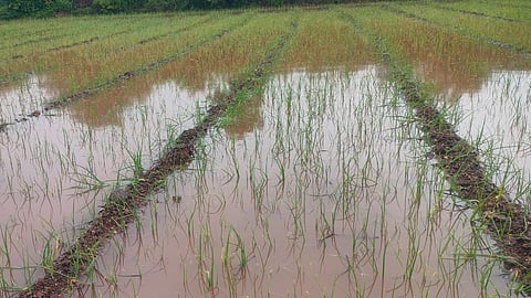 नांदगाव (नाशिक)