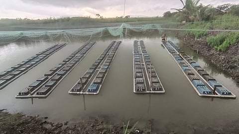 भारताच्या किनारपट्टीवरील समुदायांची हवामान लवचिकता वाढवणे हा प्रकल्प अमलात आणण्यात आला आहे.