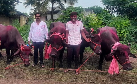 Pethvadgaon Mahalaxmi Bazar 4 Crore turnover