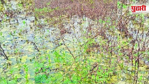 डोणगांव (जालना)