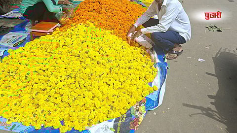 marigold price