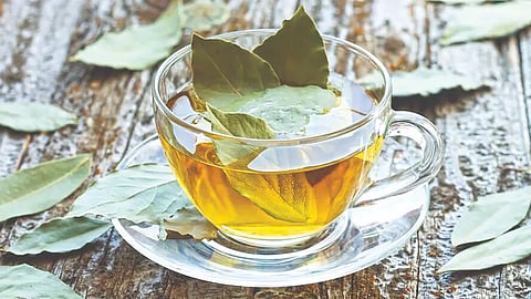 Tamalpatra Health Benefits