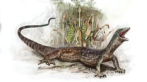 fossil of snake lizard hybrid found in scotland