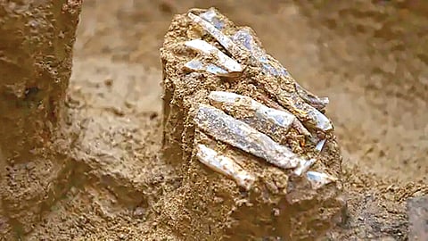 thirty thousand years old hunter personal toolkit