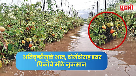 दिंडोरी (नाशिक)