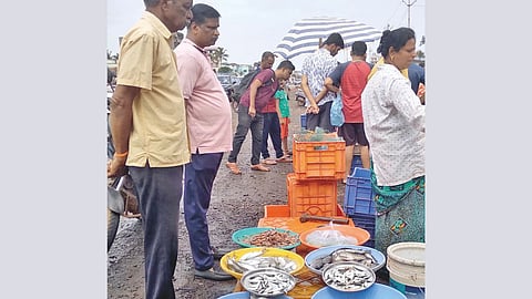 Fish Prices Rise