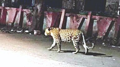 देवळाली कॅम्प (नाशिक)