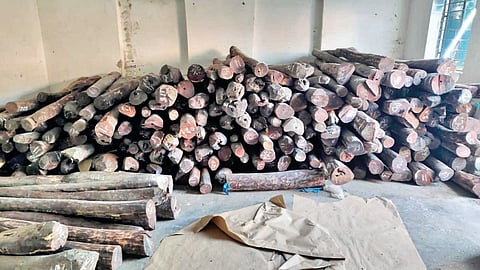 10 tonnes of red sandalwood seized in Delhi; two arrested