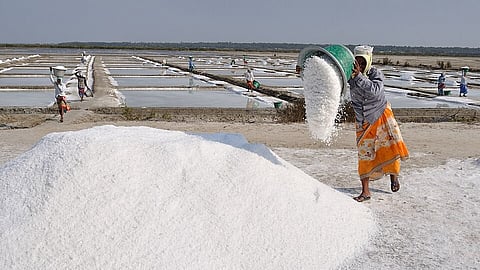 Salt Pan Land : वडाळ्यातील मिठागराची 20,000 चौरस मीटर जमीन सरकारकडून निवासी क्षेत्र म्हणून जाहीर