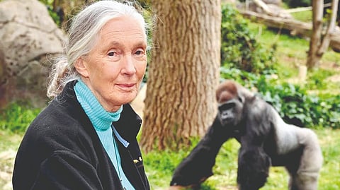 fearless-wildlife-researcher