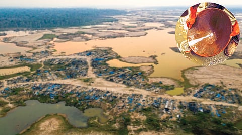 record-gold-price-hits-peruvian-amazon-forest-ap84