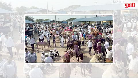 Chakan Market Update