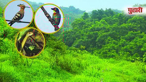 डोंबिवली (ठाणे)